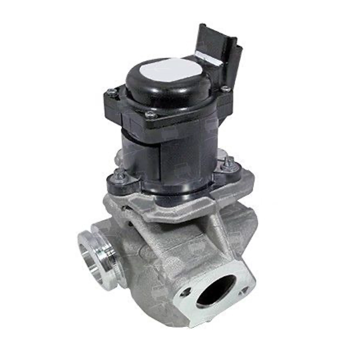 EGR Valve (EGR0273R)