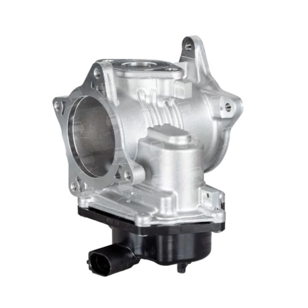 EGR Valve (EGR0311R)