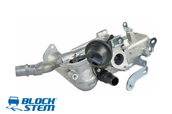 Cooler, exhaust gas recirculation (RDE0004R)