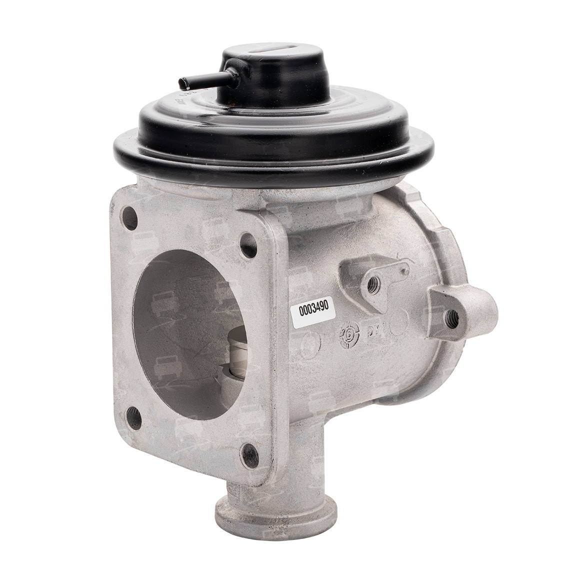 EGR Valve (EGR0024R)