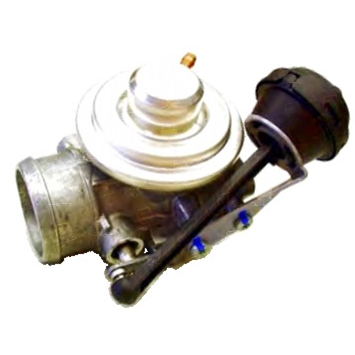 EGR Valve (EGR0132R)