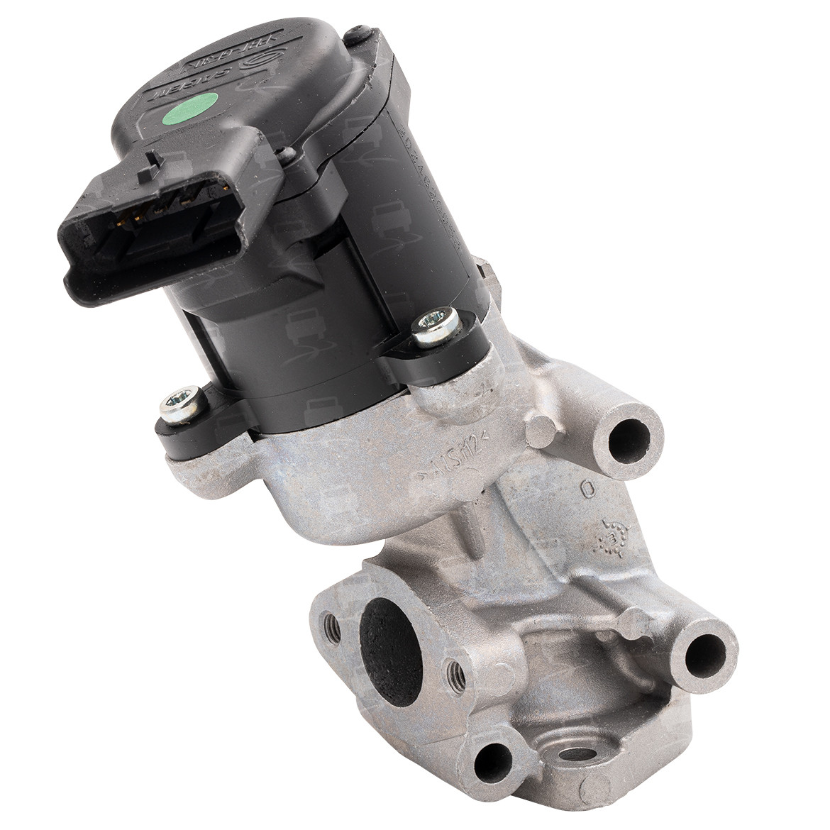 EGR Valve (EGR0123R)