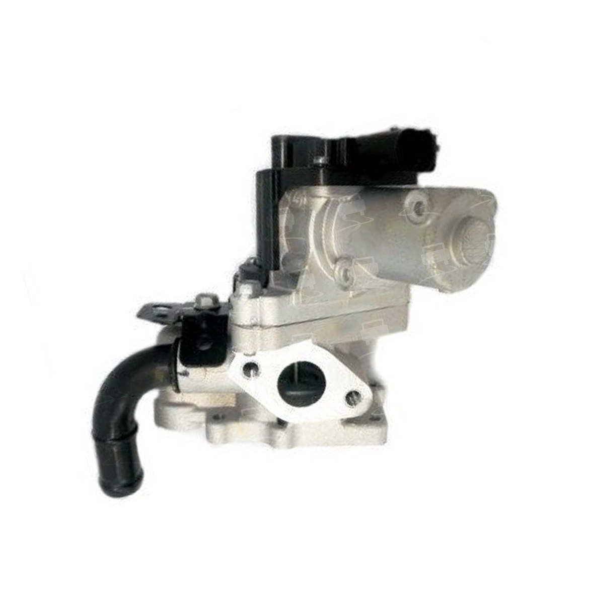 EGR Valve (EGR0278R)