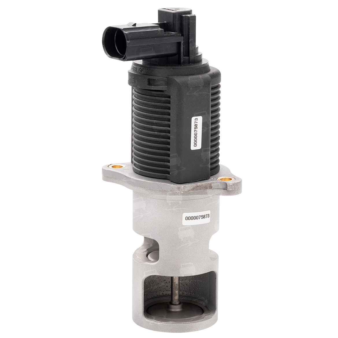 EGR Valve (EGR0007R)