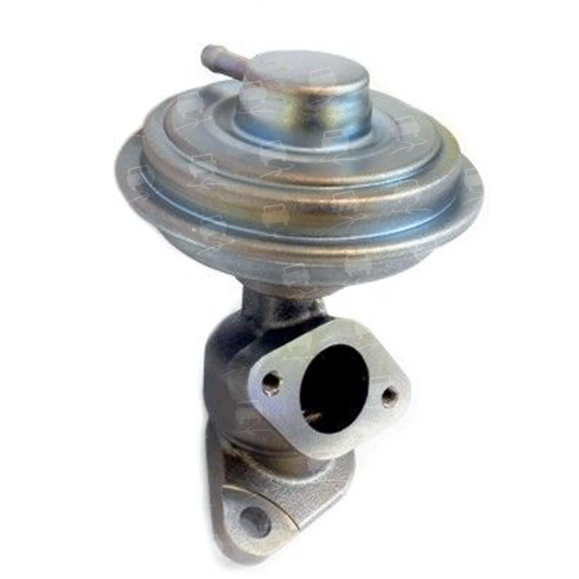 EGR Valve (EGR0241R)
