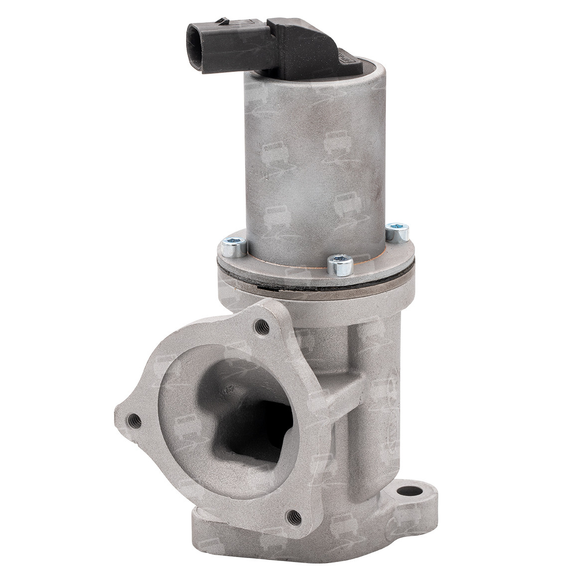 EGR Valve (EGR0172R)