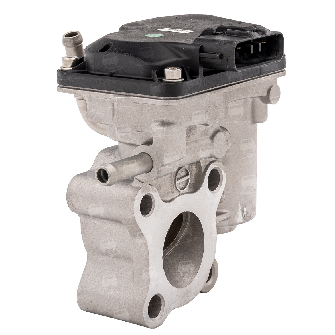 EGR Valve (EGR0242R)