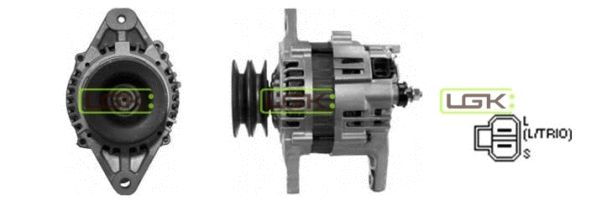 Alternator (446565)