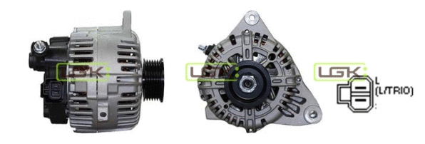 Alternator (446753)
