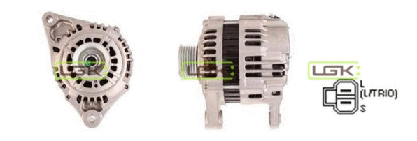 Alternator (446839)
