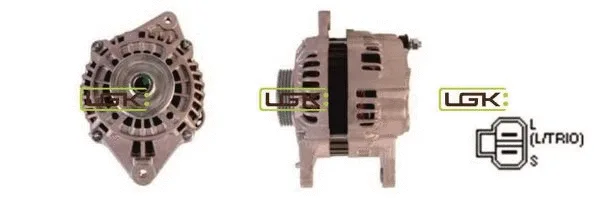 Alternator (446822)