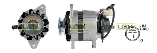 Alternator (445810)