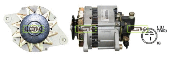 Alternator (445923)