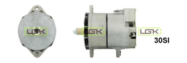 Alternator (445853)