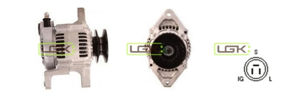 Alternator (446889)
