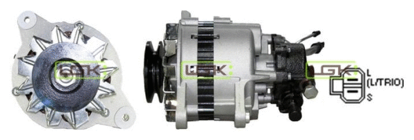 Alternator (445723)