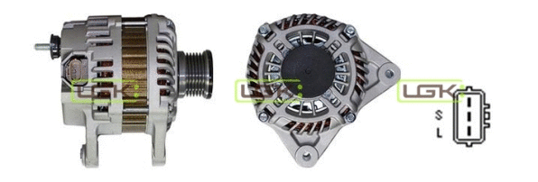 Alternator (446238)