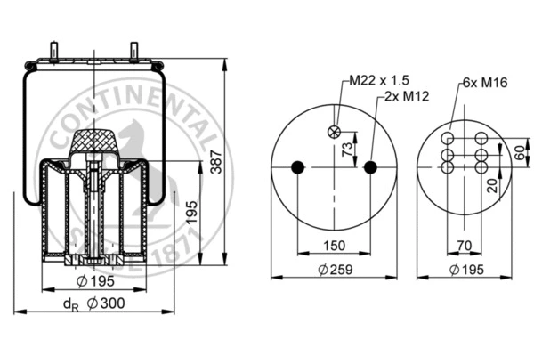 Bellow, air suspension (4962 N P03)