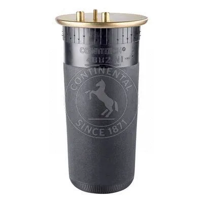 Bellow, air suspension