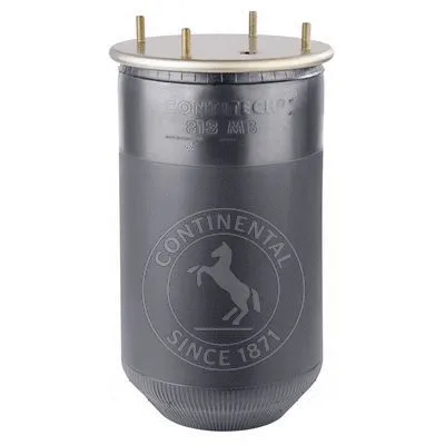 Bellow, air suspension