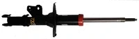 Shock Absorber (TX79255)