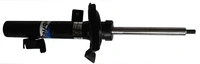 Shock Absorber (USA79296R)