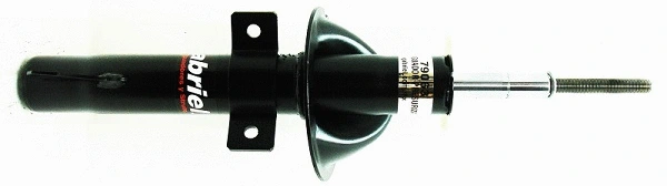 Shock Absorber (79063)