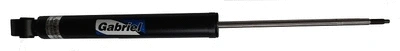 Shock Absorber (USA69153)