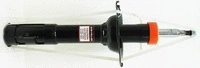 Shock Absorber (79146)