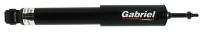 Shock Absorber (69391)
