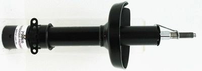 Shock Absorber (79066)