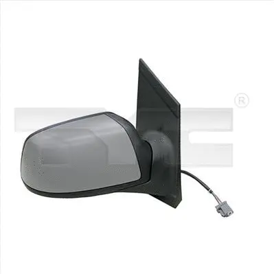 Exterior Mirror (310-0079)