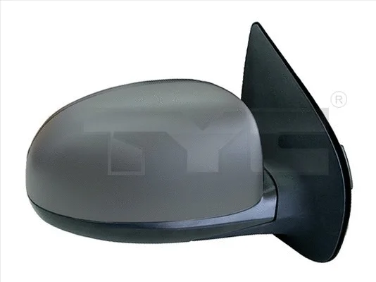 Exterior Mirror (313-0089)