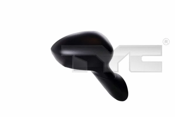Exterior Mirror (309-0093)