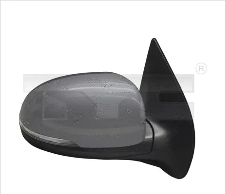 Exterior Mirror (313-0064)