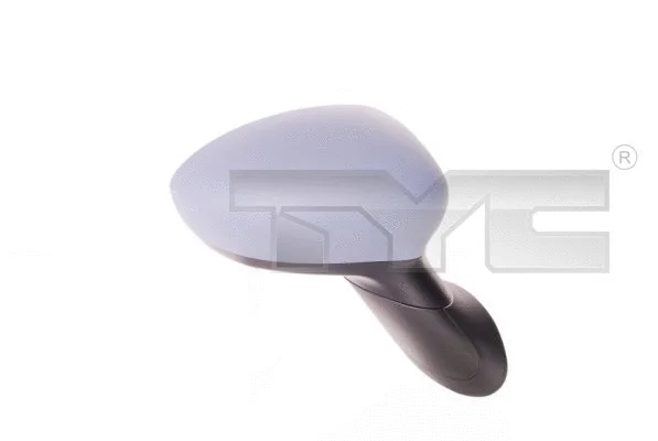 Exterior Mirror (309-0095)