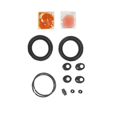 Repair Kit, brake caliper (TP-113)