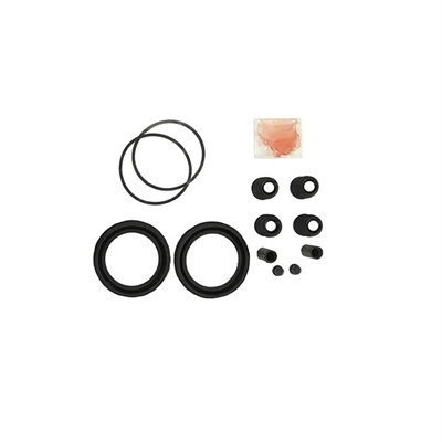 Repair Kit, brake caliper (TP-15)