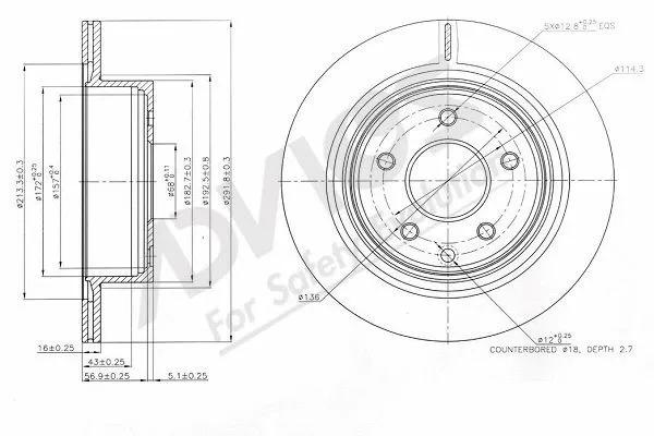 Brake Disc (B6R107B)