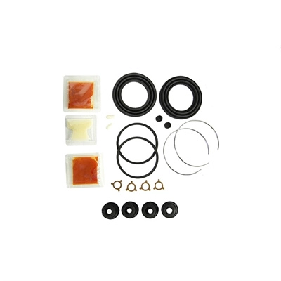 Repair Kit, brake caliper (A-678P)