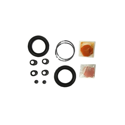 Repair Kit, brake caliper (TP-81)