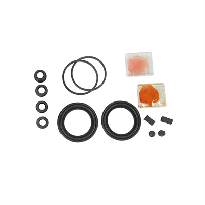 Repair Kit, brake caliper (TP-82)