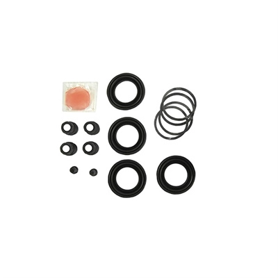 Repair Kit, brake caliper (TP-66)