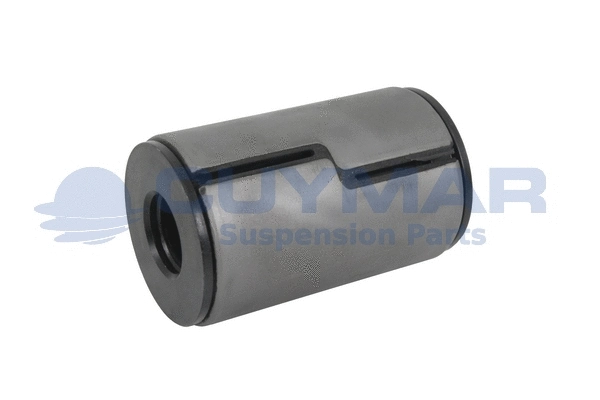 Bushing, leaf spring (3810367)