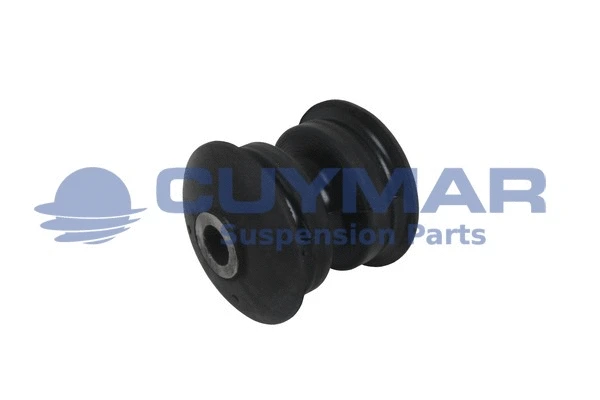 Bushing, leaf spring (3825006)
