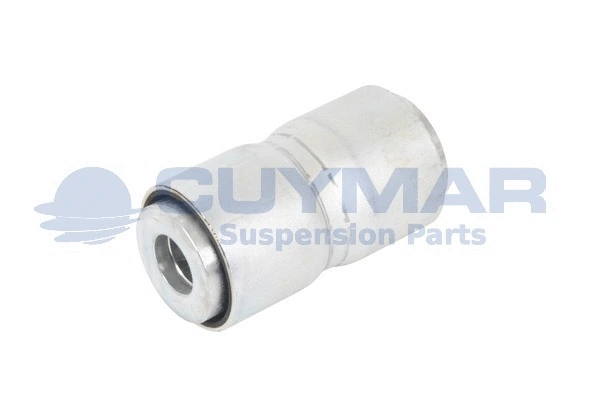 Bushing, leaf spring (3802722)
