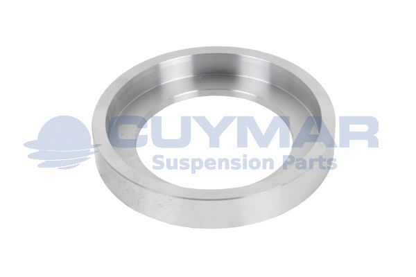 Pressure Disc, leaf spring hanger (3308269)