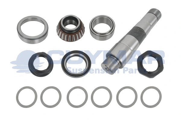 Repair Kit, kingpin (5912021)