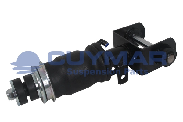 Shock Absorber, driver cab suspension (4202017)