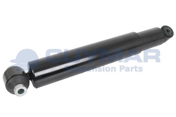 Shock Absorber (4208900)